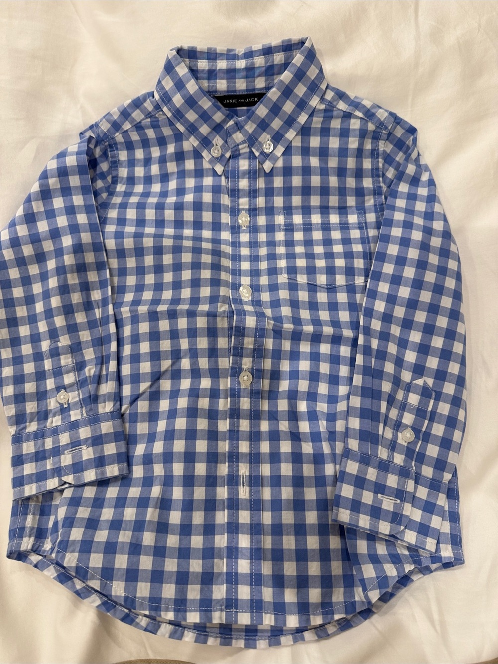 Janie and Jack - Toddler BoyButton-Down Gingham Shirt in Blue and White
